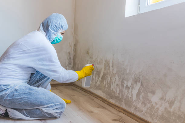 Hvac And Air Duct Mold Remediation inspection of HVAC system in Saint Michaels
